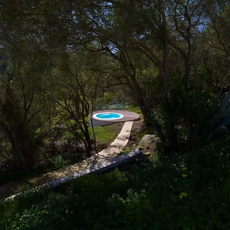 Hacienda Olivos Apartment Santa Brígida