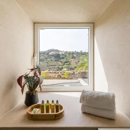 Hacienda Olivos Apartment Santa Brigida (Gran Canaria)